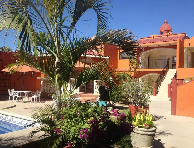 Hotel Oasis hotel detail image 3