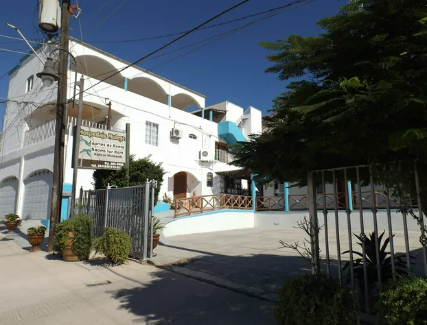 Hospedaje Mulege hotel detail image 4