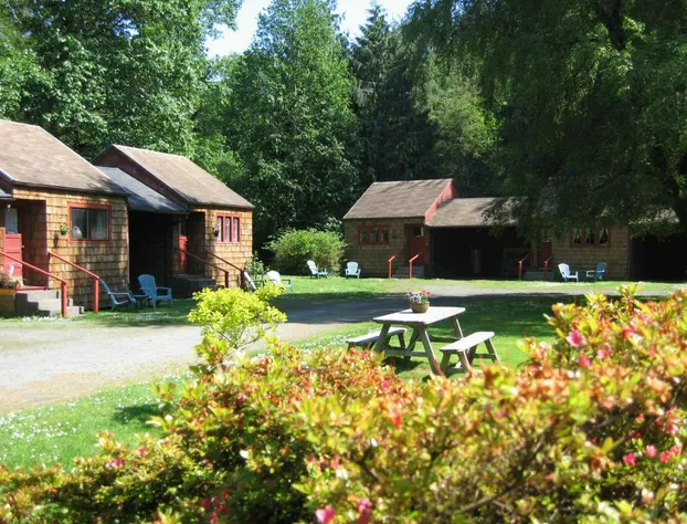 Shakti Cove Cottages hotel detail image 1