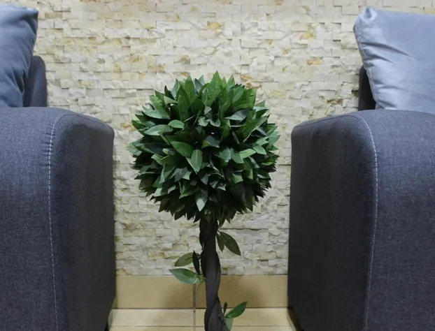 Hotel Marllou hotel detail image 3