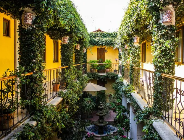 Hotel Dainzú hotel detail image 3