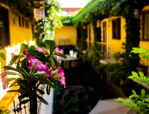 Hotel Dainzú hotel detail image 4