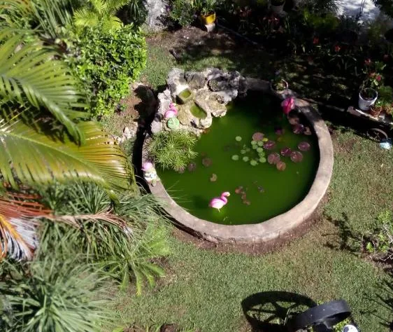 Hotel Pastora hotel detail image 4