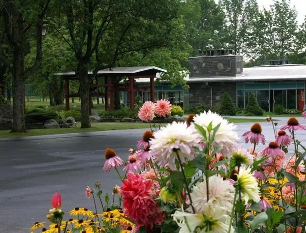 Lukans Farm Resort hotel detail image 3