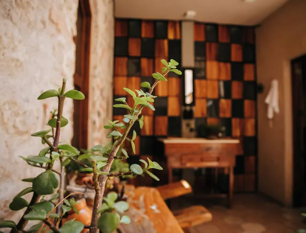 Hotel Casa 88 hotel detail image 1