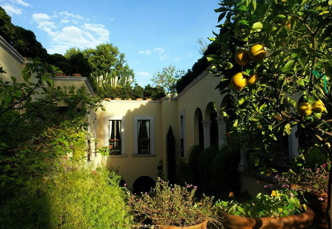 Casa Misha hotel hero