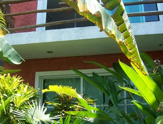 Elements of the Island hotel detail image 3