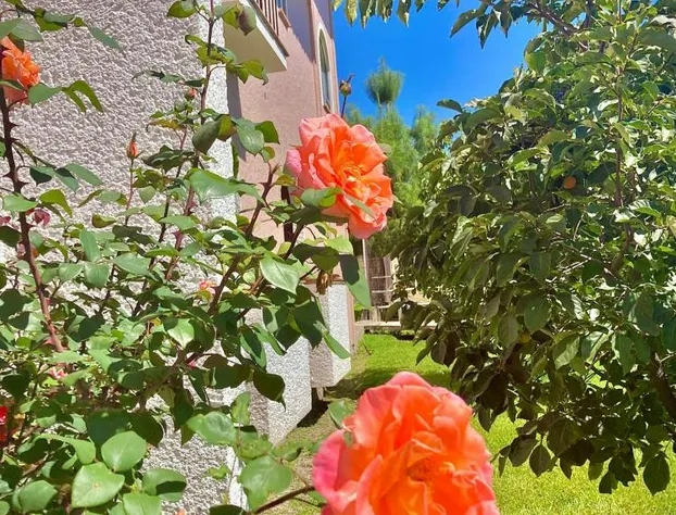 Hotel Ojo de Agua hotel detail image 4