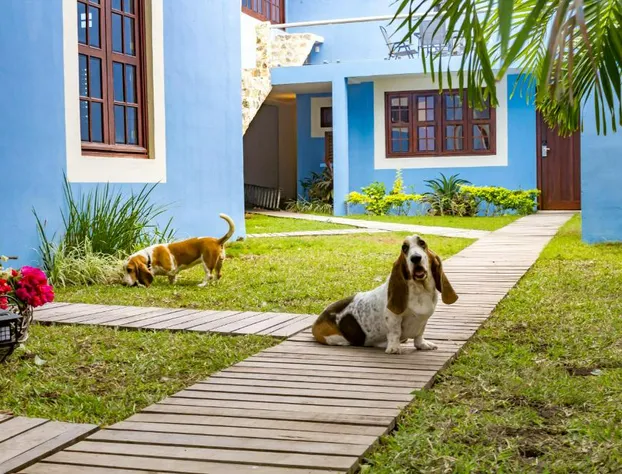 Hotel Maculís hotel detail image 1