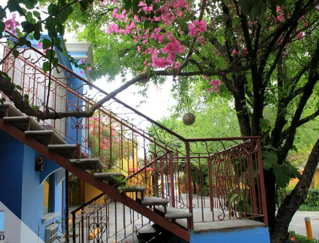 Hotel Hacienda del Viejo hotel detail image 3