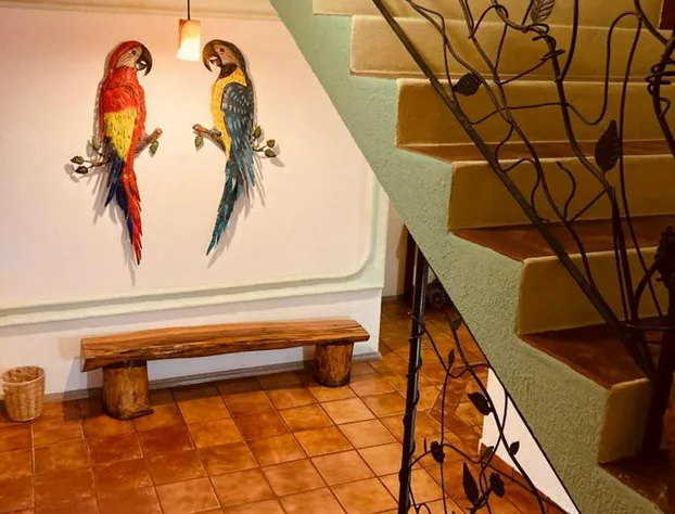 Hotel Careyes Puerto Escondido hotel detail image 3