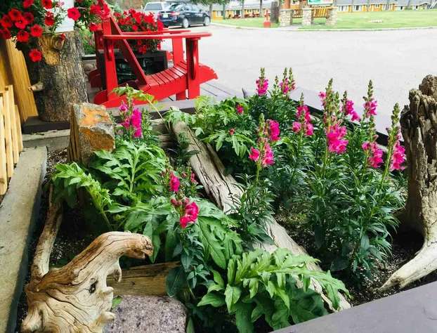 Jasper House Bungalows hotel detail image 2