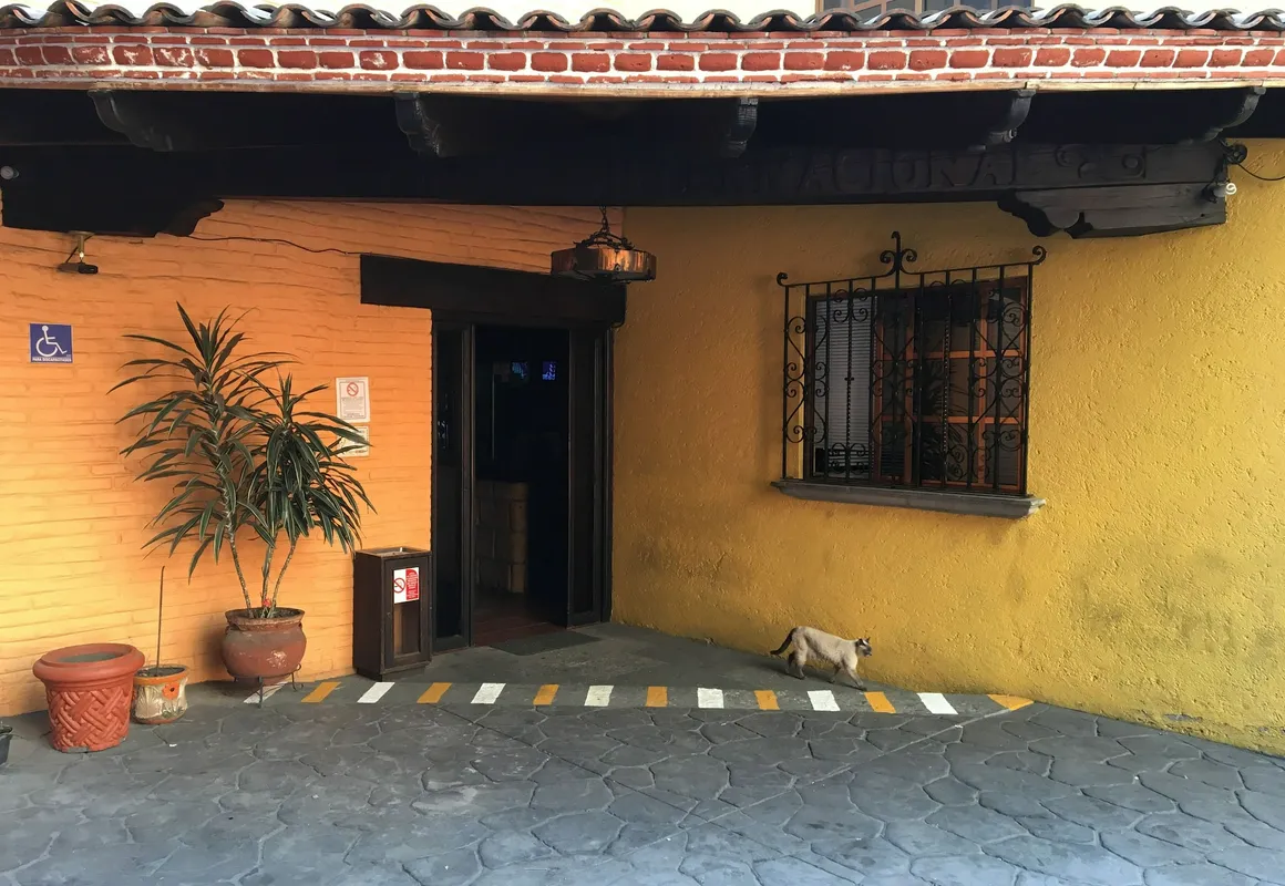 Hotel Playa Internacional hotel hero