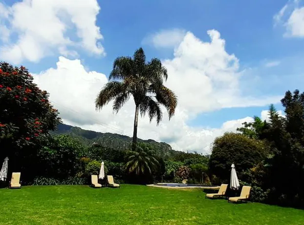 Areté hotel detail image 3