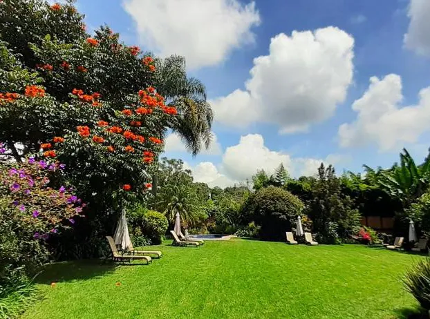 Areté hotel detail image 4