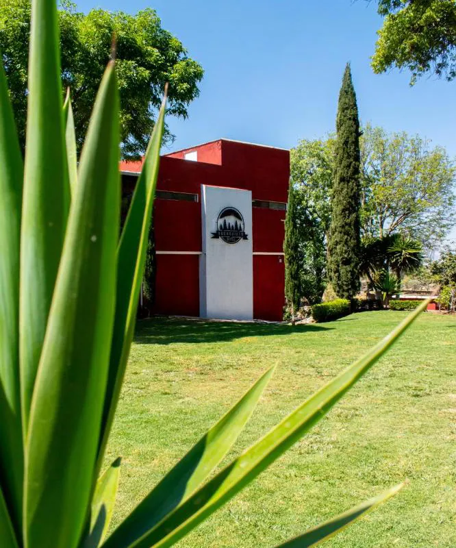 Hotel Buenavista hotel hero