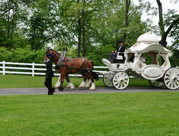 Allegan Country Inn hotel detail image 3