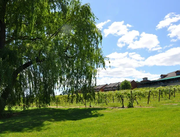 The Inn at Glenora Wine Cellars hotel detail image 3