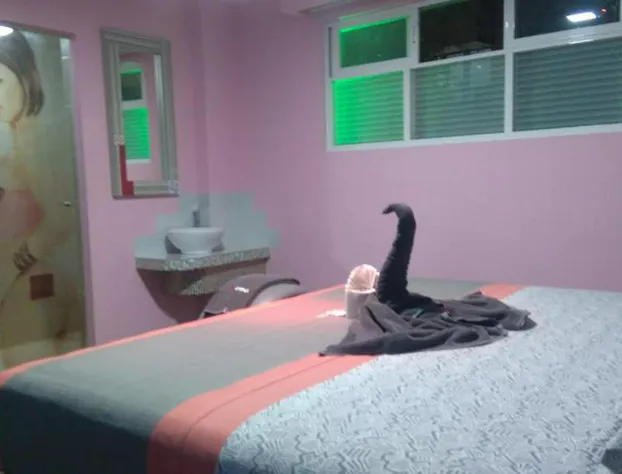 Hotel H - Eco Adults Only hotel detail image 4