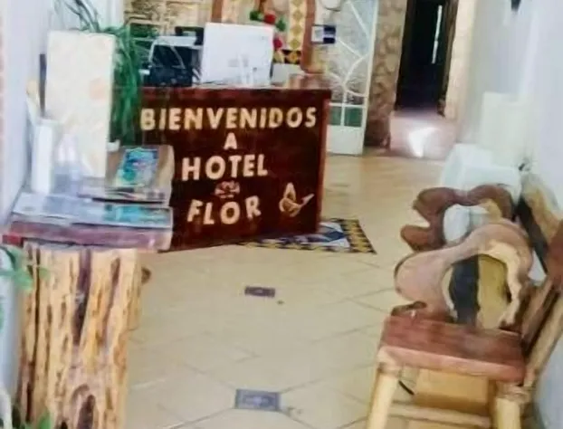 Hotel Flor hotel detail image 3