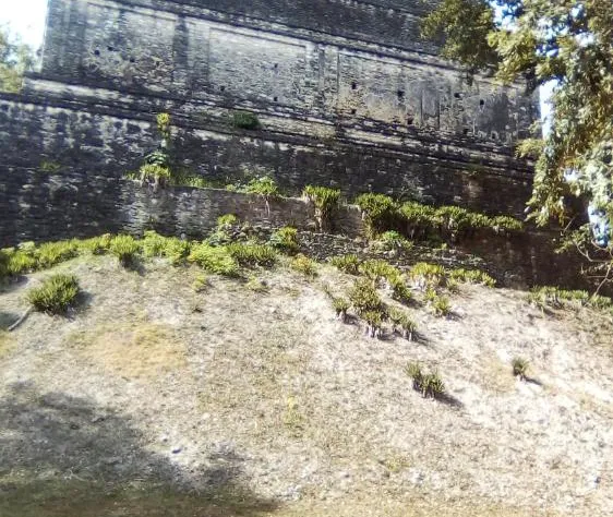 Hotel Chaac Calakmul hotel detail image 1