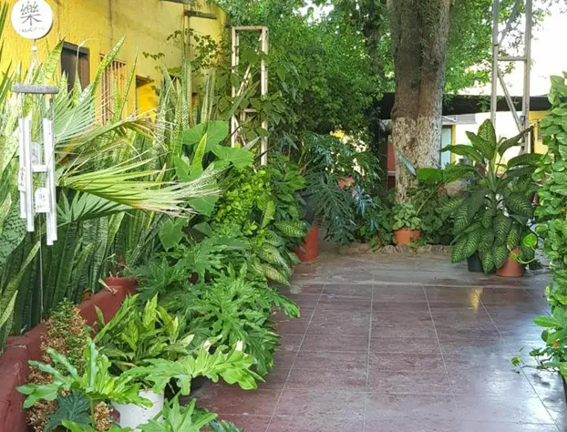 Hotel hacienda San Jose hotel detail image 3