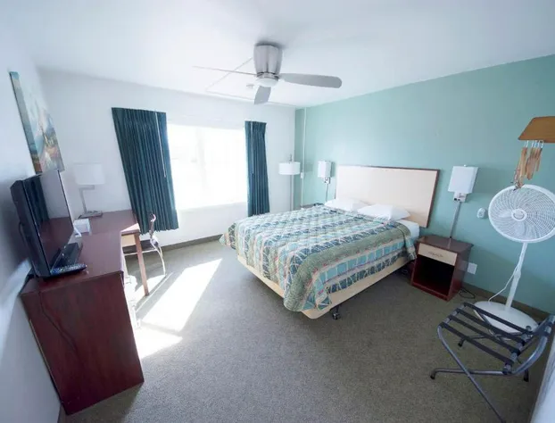 Rewak Studios hotel detail image 1