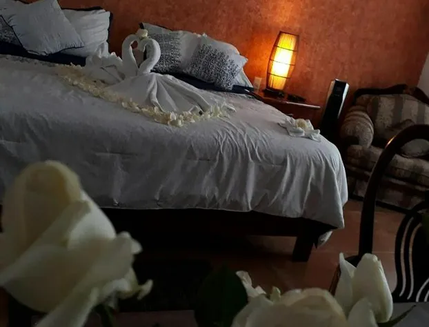 Hotel quinta real las palmas malinalco hotel detail image 3