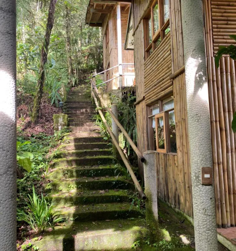 Cabañas Aldea San Francisco de Asís hotel hero