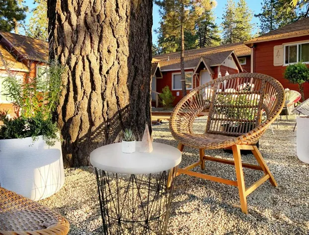 Grand Pine Cabins hotel detail image 2