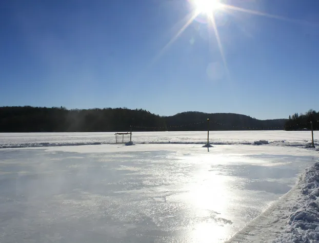 Ogopogo Resort hotel detail image 4