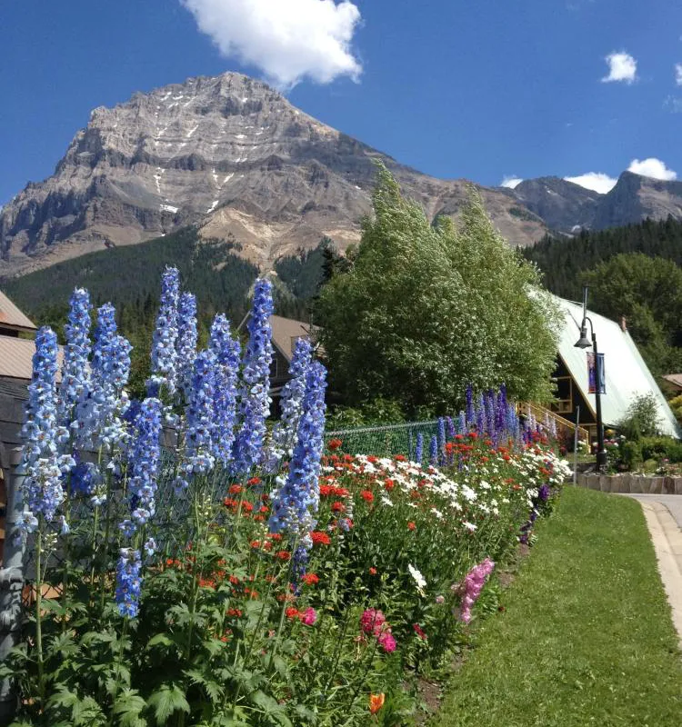 Canadian Rockies Inn - Adults only hotel hero