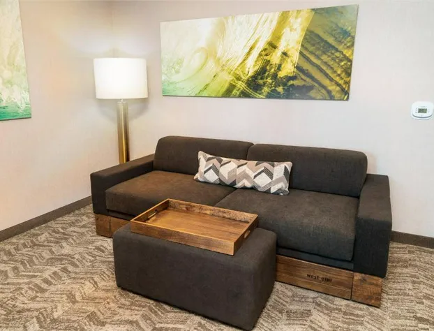 SpringHill Suites by Marriott Newark Fremont hotel detail image 3