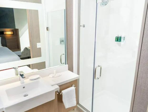 SpringHill Suites by Marriott Newark Fremont hotel detail image 3