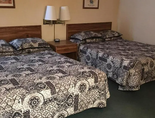 Buffalo Lodge and Grill hotel detail image 3