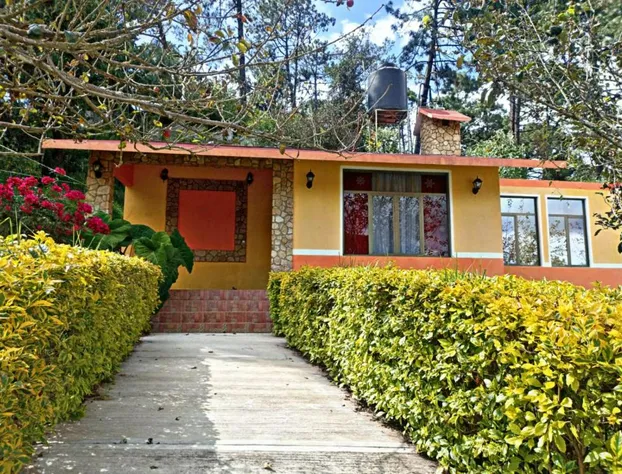 Hotel Villa De Las Flores hotel detail image 1