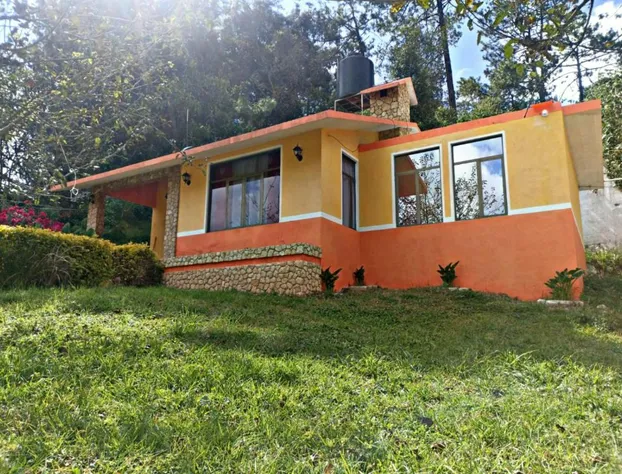 Hotel Villa De Las Flores hotel detail image 3