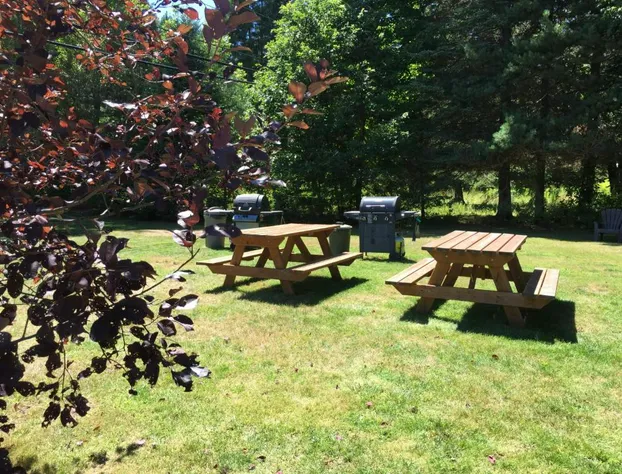 Dwight Village Motel hotel detail image 4