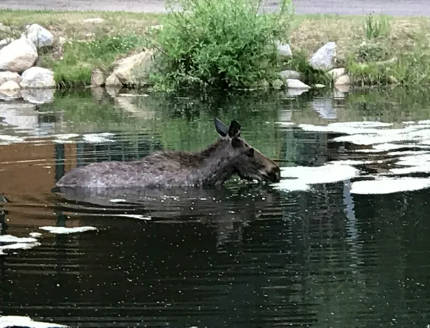 Riverside Lodge & Retreat hotel detail image 1