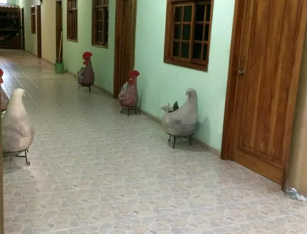 Hotel Cosoleacaque Centro hotel detail image 3