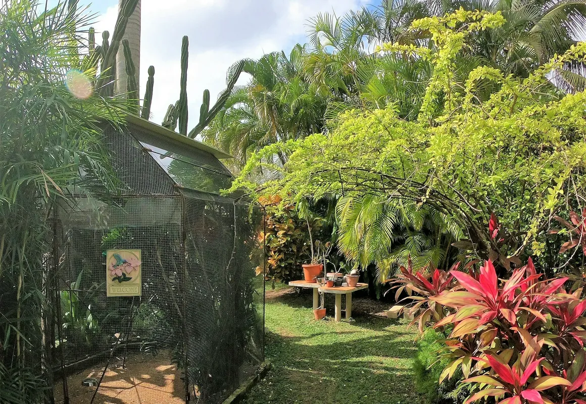 Baldwins Guest House Cozumel hotel hero