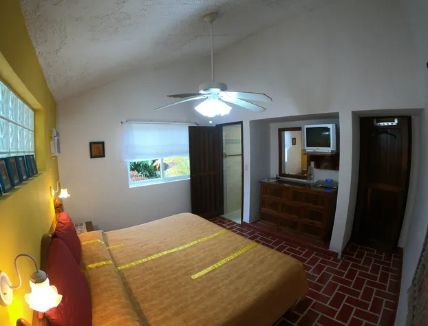 Baldwins Guest House Cozumel hotel detail image 4