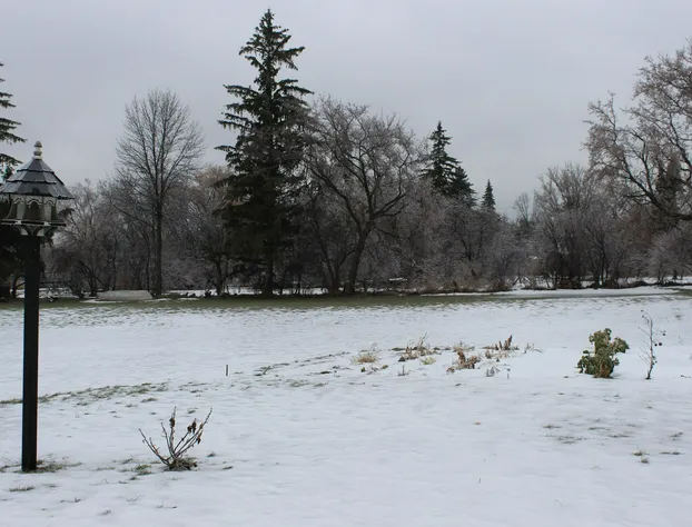 The Findlay House hotel detail image 2