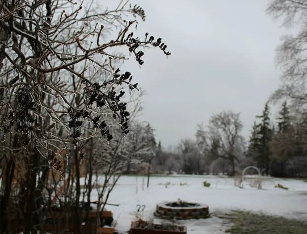 The Findlay House hotel detail image 3
