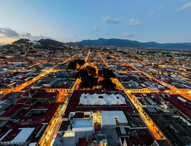 Suites de la Parra hotel detail image 4