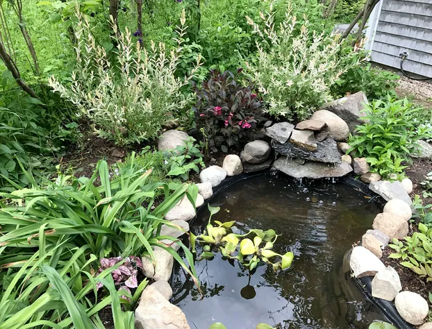 Morning Glory Inn hotel detail image 2