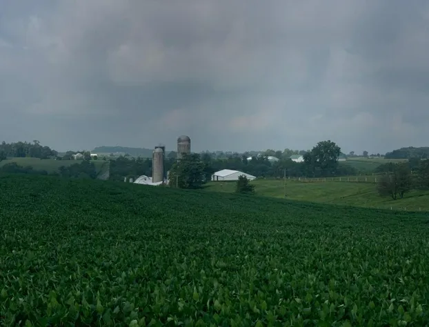 Mt. Vernon Motel hotel detail image 1