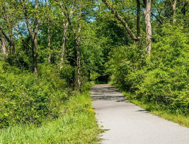 Holly House of Hamilton hotel detail image 3