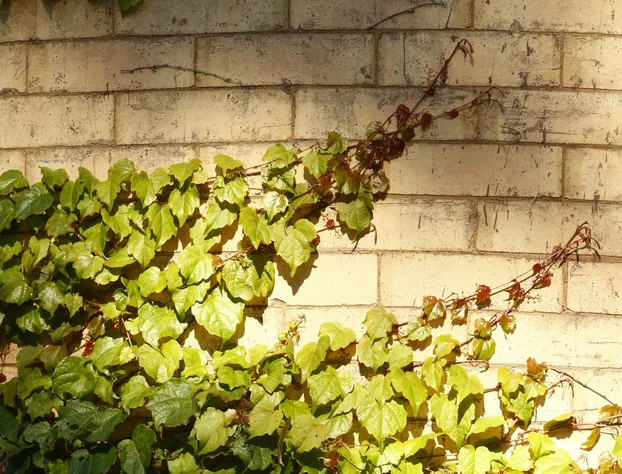 The Brewster Inn hotel detail image 4