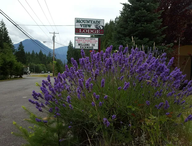 Mountain View Lodge hotel detail image 3